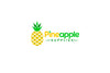 Pineapple Supplies